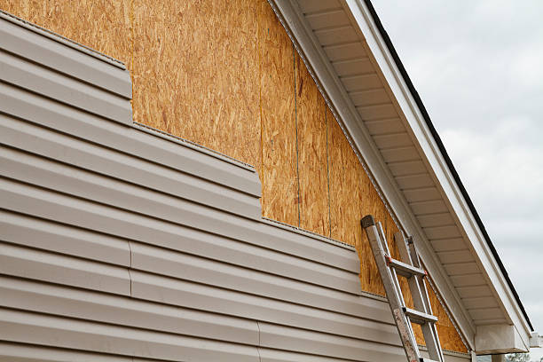 Professional Siding Inspection technician working in Wheaton, IL
